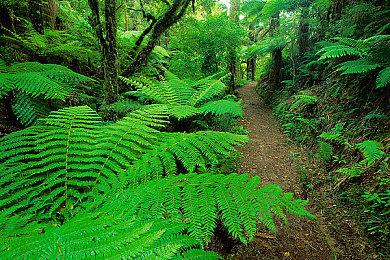 《英雄的安息》登陆PC 城镇建造经营模拟